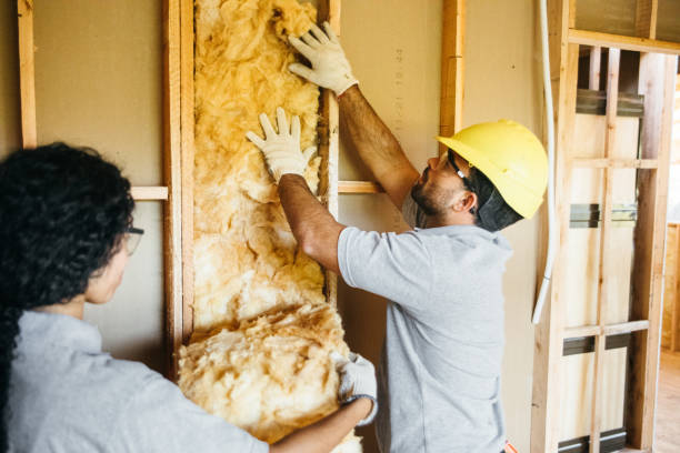 Insulation Repair Services in Stromsburg, NE