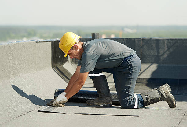 Best Attic Insulation Installation  in Stromsburg, NE